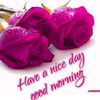 zulqurnain.jutt30