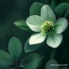 anhtucoihn