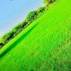 user85908566076170