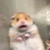 altheaaa_kjhkhhjjkjjgdfg