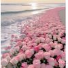 azah.alghamdi0