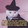 brandon.gongora15