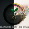 luis.arriechi8