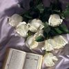 douaa_780