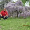 sergio.kobayashi0