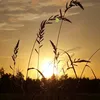 kisimiphan93