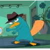 perry.joestar