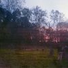 oldgraay