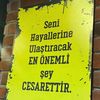 yanizpolat3