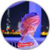 fazle.hussain3