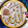 user2310339071