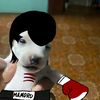 mike.el.sauki