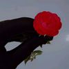 user9044116380639