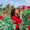 thanhthuy23550