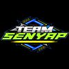 Team senyap