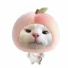.anh1712