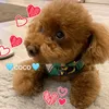 yoshie6469