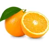 orangeguy75