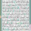 musarrat.saeed0