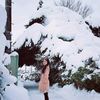 shintanovia169