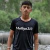 m.a.f.i.a313