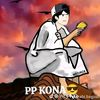 pklprime291