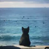 alexandraa_1717