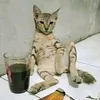 vawnkiets