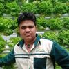 kashifkashif5950
