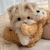 mau_28280
