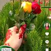 mrsmoni211