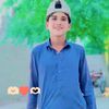 hasniankhan4119