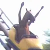 tobi18497