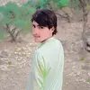 ghauriking66