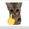 tuan.l7419