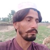 hasan.khan7431