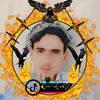 user05445341