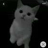 sasha__307