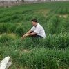 m.baqer.haidari