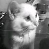meixzc_5