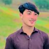 hassan.ha.2