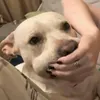 daffnyy7