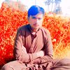 arman.jani857
