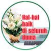 liao70424mh