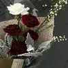 hoaa_29