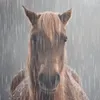 aaabbcddd077