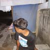 galanggalang5624