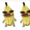 ichaarowrr0