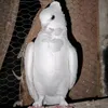 hazem.ali888