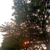 _28dr